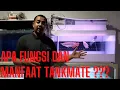 Lagu FUNGSI dan MANFAAT TANKMATE di aquarium Arwana itu apa sih ?