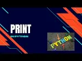 How to display OUTPUT in Python print Function