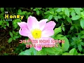 무대에 오르기 위해 태어난 사람. 퍼포먼스 최고봉 Honey 박진영 30분연속듣기(한글자막) #kpop