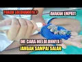 Lagu CARA DAN PAKAN LOLOHAN ANAKAN BURUNG EMPRIT