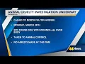 Animal cruelty investigation opened in Evansville after dog found with wounds