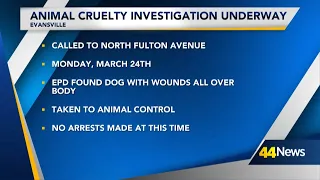 Animal cruelty investigation opened in Evansville after dog found with wounds