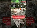 Download Lagu BILA AHIRNYA KAYU AKAN TERPENTAL😱BAPAT ITU TAK NYADAR😱#shorts#viral#viralshort