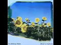About / a Memory - St. Anthony Mann