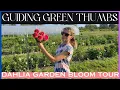Download Lagu BUNGA DAHLIA PERTAMA KAMI BERKEMBANG / TUR KEBUN BUNGA LAPANGAN