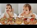 Easy Baby Led Weaning Meals My Baby s Favorite Foods For Breakfast Lunch Dinner