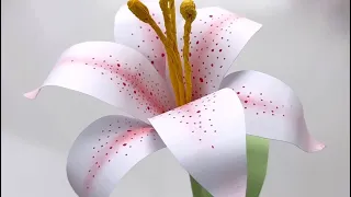 Turn Regular Paper into Beautiful Lily Flowers! 🌷
