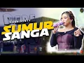 Download Lagu SUMUR SANGA VOC. DEDE RISTY | LIVE MUSIC GANJENE PANTURA
