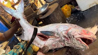 Amazing Cutting Skills || Big Indian Salmon Fish Cutting In Fish Market