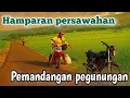 Download Lagu Bersepeda Motor di Persawahan, Lihat Pemandangan Gunung yang Indah! | motorVlog tertib lalulintas