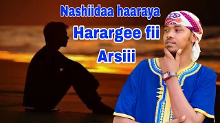 Harargee Fii Arsii Nashiidaa Haaraya 