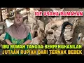 Download Lagu Ibu Rumah Tangga PENGHASILAN JUTAAN RUPIAH dari Bebek Petelur