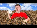 Download Lagu Kakáme a Vyděláváme v Robloxu.. 💩