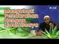 Mengobati Pendarahan dengan Lidah Buaya | dr. Zaidul Akbar