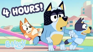 🔴LIVE: Bandit Takes Over the Seesaw! 😮💙 | 4 HOURS of Play! | Bluey