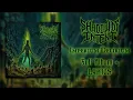 Shadow of Intent - Imperium Delirium (Full Album Lyric Video) (HQ)