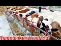 Download Lagu Xalq arzonchisi shamshodbekni kayfiyati yanada chog‘. Sifatli mollarni narxlarini sindirdi 22/08/25.