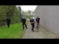 Download Lagu Turn And Face The Wall And Put Your Hands Behind Your Back! 🐕👮‍♂️🎥😱❌