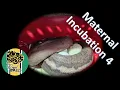 Breeding Ball Pythons Maternal Incubation