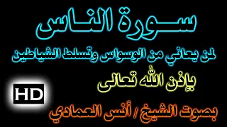 سورة الناس مكررة لمن ي عاني من الوسواس والوسواس القهري بصوت الشيخ أنس العمادي 