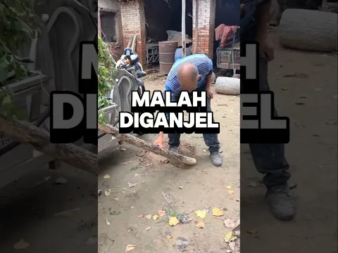 Udah tua malah makin cerdik