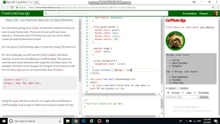 Basic CSS Use Attribute Selectors to Style Elements free code camp Dani