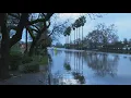 Winter storm floods streets, drops trees on homes in Sacramento