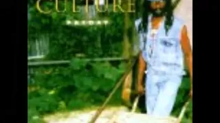 culture where the tree falls