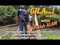Download Lagu Dare to Try? This Bamboo Bridge will test your courage! One wrong step could break.