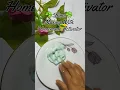 Slime Making With Homemade Activator