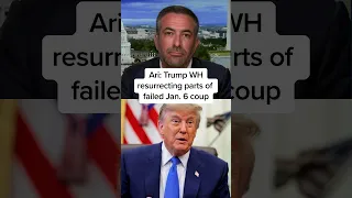 Ari Trump WH resurrecting parts of failed Jan 6 coup