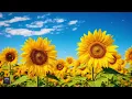 zach bryan - this world's a giant (lyrics)