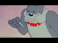 Download Lagu Tom and Jerry The Truce Hurts classic cartoon| cartoon for kids.