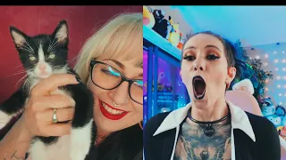 Quinky VIP Skylar Calico