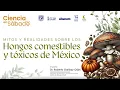 Ciencia en sabado Hongos comestibles y toxicos en Mexico Dr Roberto Garibay