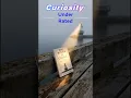 Curiosity is an under rated skill