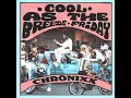 COOL AS THE BREEZE/FRIDAY - Chronixx