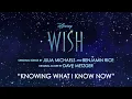 Julia Michaels, Benjamin Rice - Knowing What I Know Now (From "Wish"/Instrumental/Audio Only)