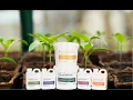 Soil Dynamics Rebrand Overview