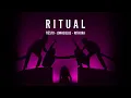 Tiësto, Jonas Blue, Rita Ora - Ritual (Official Audio)