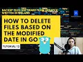 How to Delete Files Based on the Modified Date In Go - Backup Files Software From Scratch in Go