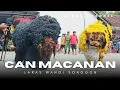 Lagu HEBOH‼️🔥SENDRA TARI CAN MACANAN ONTAL JARANAN LARAS WANGI SONGGON