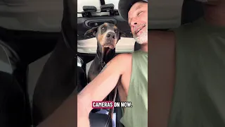 #fyp #dream #youtube #doberman #pets