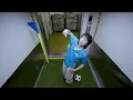 脛あて - SUSHIBOYS（Official Music Video）