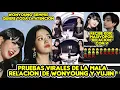 Download Lagu PRUEBAS VIRALES DE LA MALA RELACION DE WONYOUNG Y YUJIN + RECIBE 0DI0 POR RELACION CON V