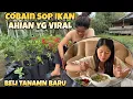 Download Lagu CUBAIN SOP IKAN AHIAN  DI PONTIANAK DAN TANAM TANAMAN YG BARU AKU BELI