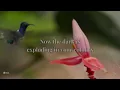 James Blunt - Tastes Like Summer | Lyrics