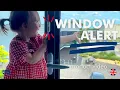 Window Alert - Product