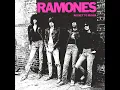 Sheena Is a Punk Rocker - Ramones