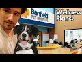 What is Preventive Care and Wellness Plans for Dogs and Cats